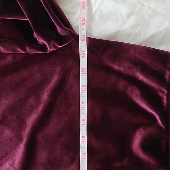 Bluenote Burgundy Velvet Cropped Zipper Hoodie, Size S - Picture 5 of 7
